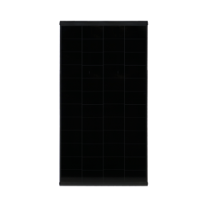8123 1519470 p 01